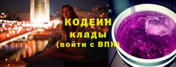 шишки Заволжск