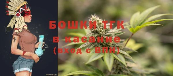 индика Заволжье