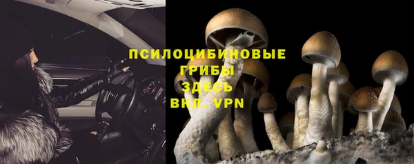 шишки Заволжск