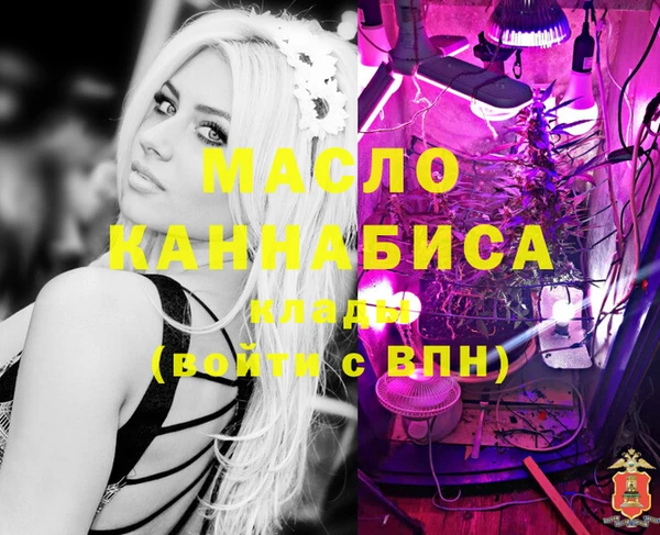 шишки Заволжск