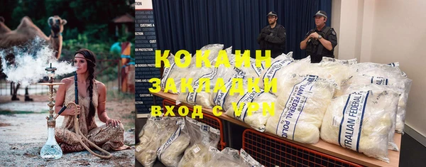 шишки Заволжск