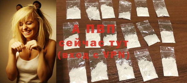 экстази Ельня