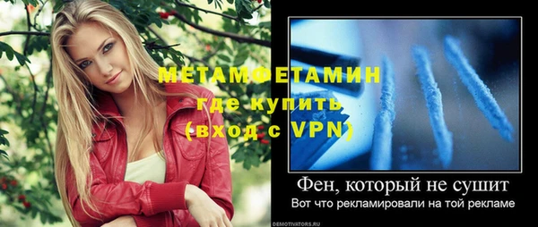 ПСИЛОЦИБИНОВЫЕ ГРИБЫ Заводоуковск