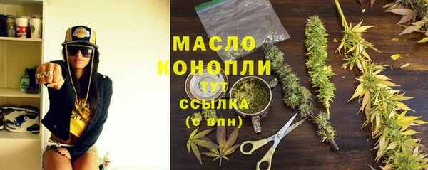 индика Заволжье