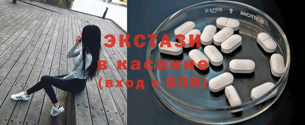 индика Заволжье