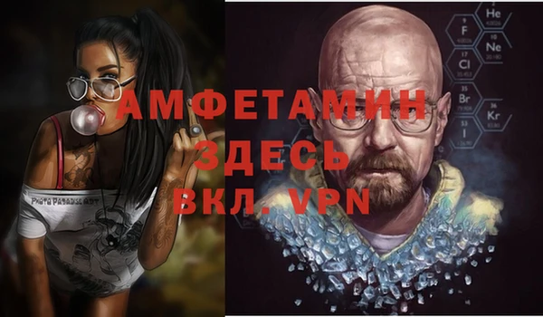 шишки Заволжск