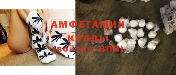 шишки Заволжск