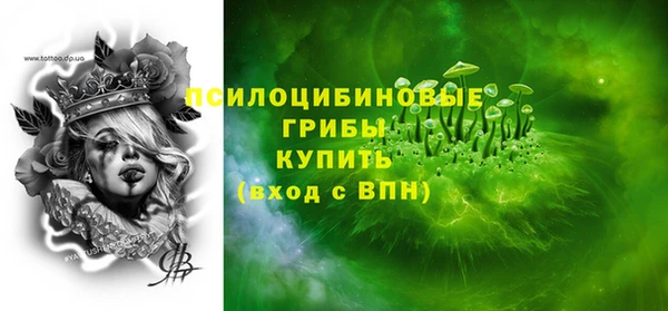 индика Заволжье